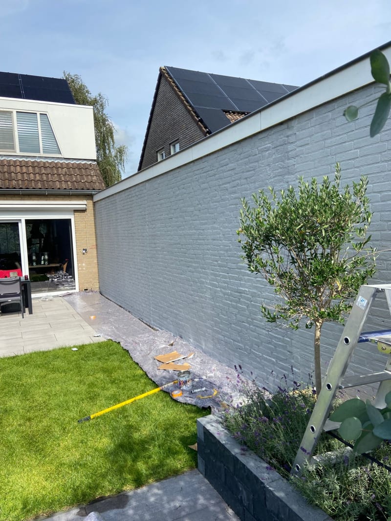 Garden wall on the right with a lovely coat of paint